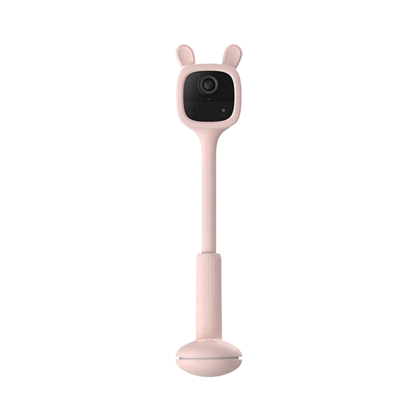 CS-BM1-R100-2D2WF-PNK